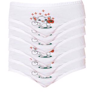 Seher Yıldızı İç Giyim Kız Çocuk Pamuklu Slip Külot 6 Lı Paket
